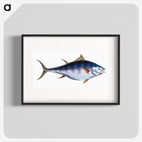 1-44_The-Natural-History-of-British-Fishes_blk