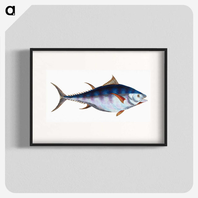 1-44_The-Natural-History-of-British-Fishes_blk