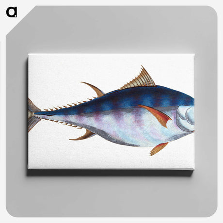 1-44_The-Natural-History-of-British-Fishes_canvas