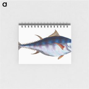 1-44_The-Natural-History-of-British-Fishes_memo