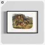 1-44_The-Viviparous-Quadrupeds_blk