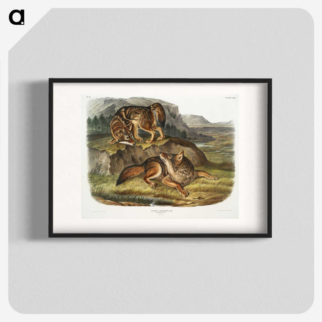 1-44_The-Viviparous-Quadrupeds_blk