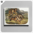 1-44_The-Viviparous-Quadrupeds_canvas