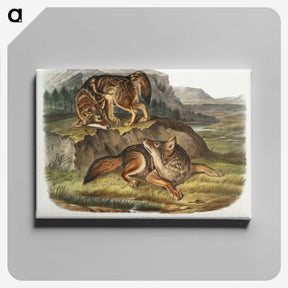 1-44_The-Viviparous-Quadrupeds_canvas