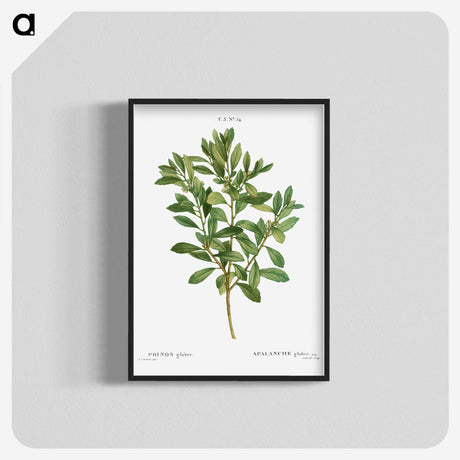 1-44_Treatise-on-Trees-and-Shrubs_blk-crop
