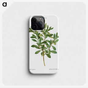 1-44_Treatise-on-Trees-and-Shrubs_phone