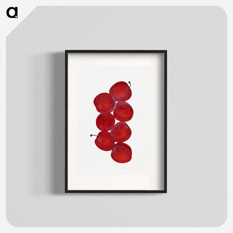 1-44_USDA-Watercolor-Fruit-Painting-Collection_blk
