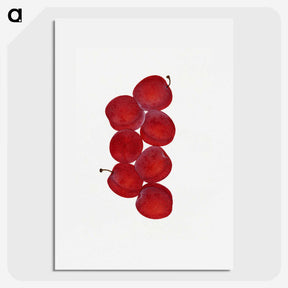 1-44_USDA-Watercolor-Fruit-Painting-Collection_picture