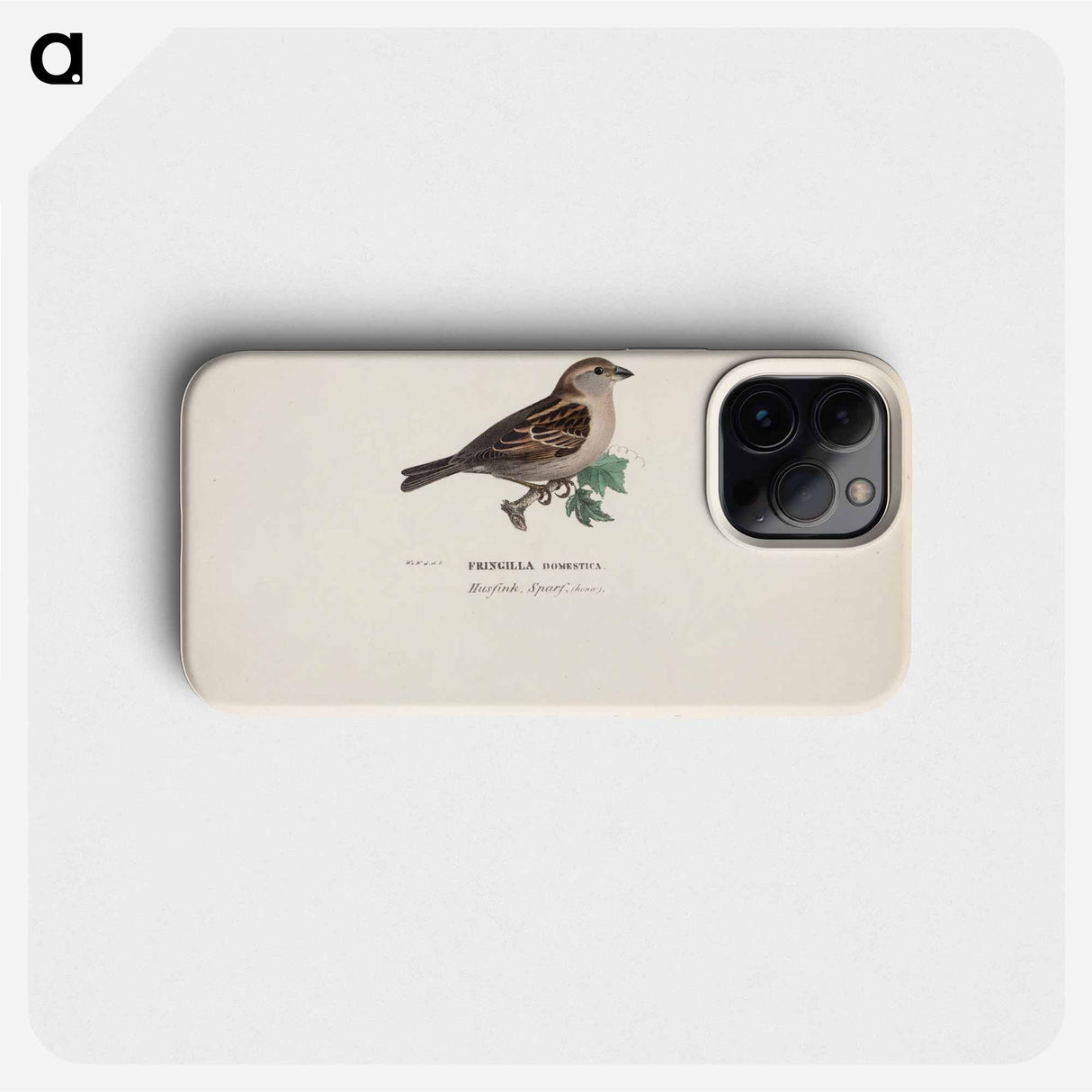 Sparrow, female - ヴィルヘルム フォン ライト Phone Case.