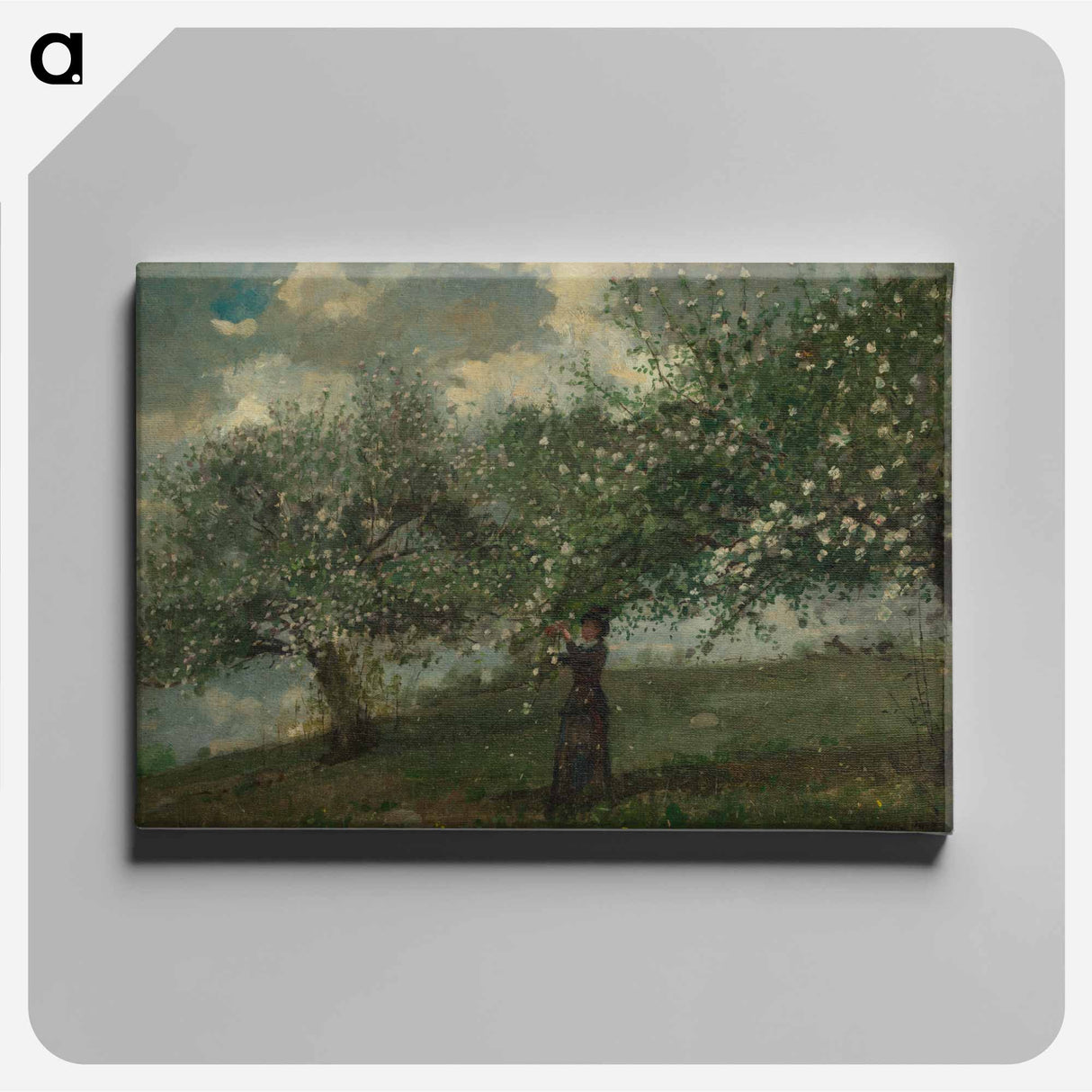 Girl Picking Apple Blossoms - ウィンスロー ホーマー Canvas.