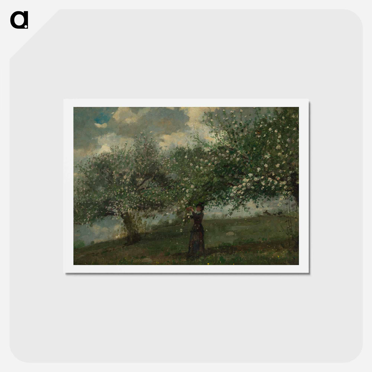 アートポストカード-Girl Picking Apple Blossoms - ウィンスロー ホーマー Postcard.