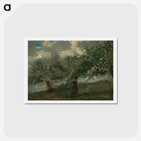 アートポストカード-Girl Picking Apple Blossoms - ウィンスロー ホーマー Postcard.