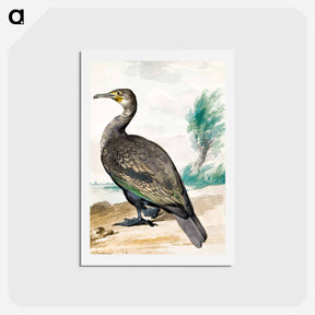 アートポストカード-Cormorant - アールト シューマン Postcard.