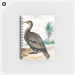 アートメモ帳-Cormorant - アールト シューマン Memo.