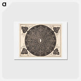 アートポストカード-Knob with rounded shield - アルブレヒト デューラー Postcard.