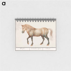 アートメモ帳-Horse - アンセルムス ボエティウス デ ブート Memo.