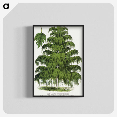 1-45_Botanical-Specimen-Plates_blk-crop