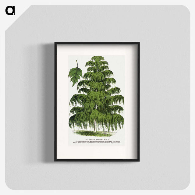 1-45_Botanical-Specimen-Plates_blk