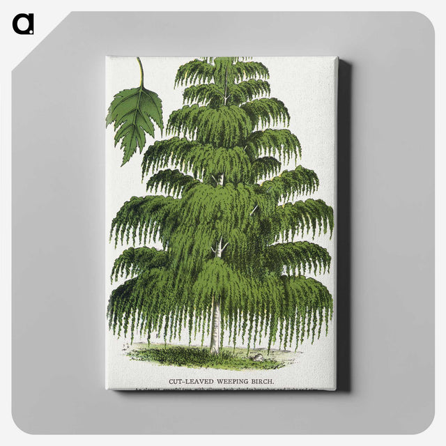 1-45_Botanical-Specimen-Plates_canvas