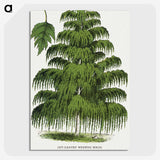 1-45_Botanical-Specimen-Plates_picture-crop