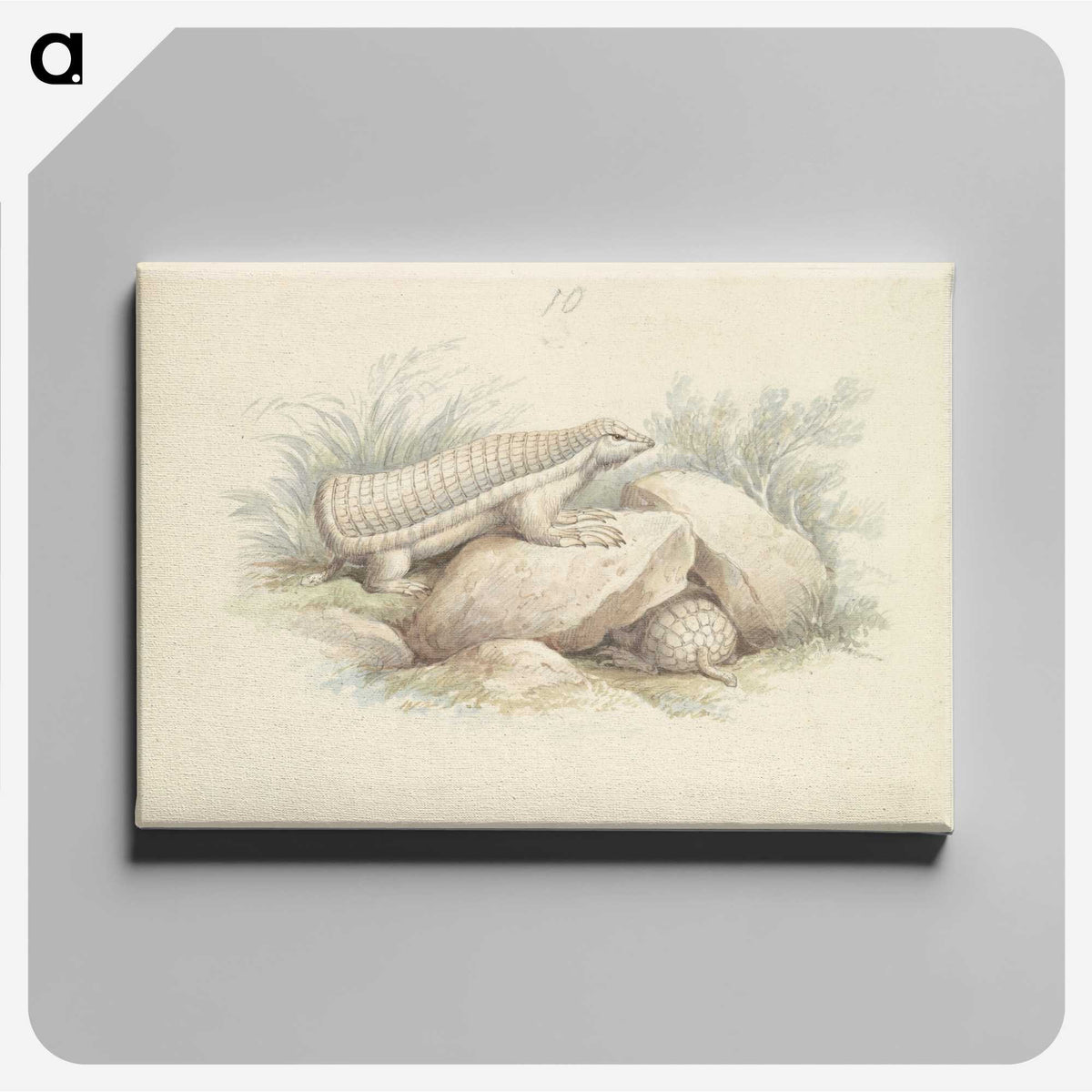1-45_Charles-Hamilton-Smith_canvas