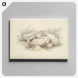 1-45_Charles-Hamilton-Smith_canvas
