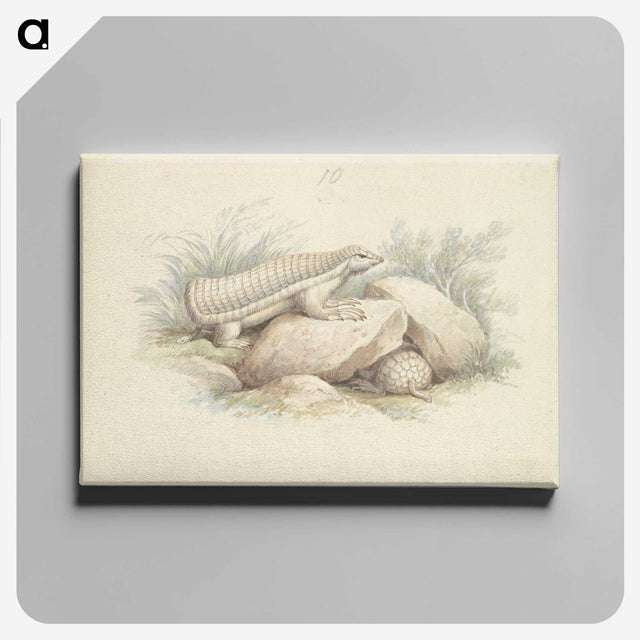 1-45_Charles-Hamilton-Smith_canvas