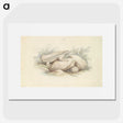 1-45_Charles-Hamilton-Smith_picture