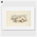 1-45_Charles-Hamilton-Smith_picture