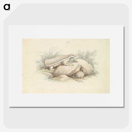 1-45_Charles-Hamilton-Smith_picture