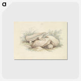 1-45_Charles-Hamilton-Smith_postcard