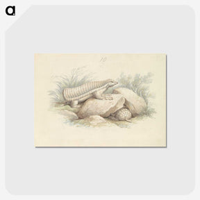 1-45_Charles-Hamilton-Smith_postcard