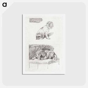 アートポストカード-Sitting and Lying Dog
 - コルネリス プロース ファン アムステル Postcard.
