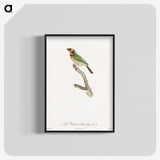 1-45_Des-Oiseaux-de-Paradis_blk-crop