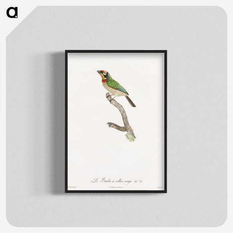 1-45_Des-Oiseaux-de-Paradis_blk-crop