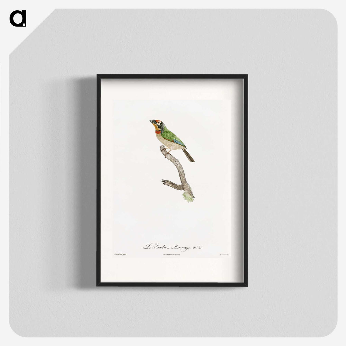 1-45_Des-Oiseaux-de-Paradis_blk