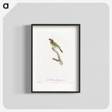1-45_Des-Oiseaux-de-Paradis_blk