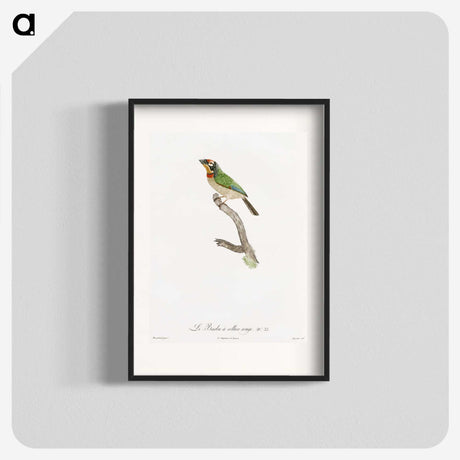 1-45_Des-Oiseaux-de-Paradis_blk