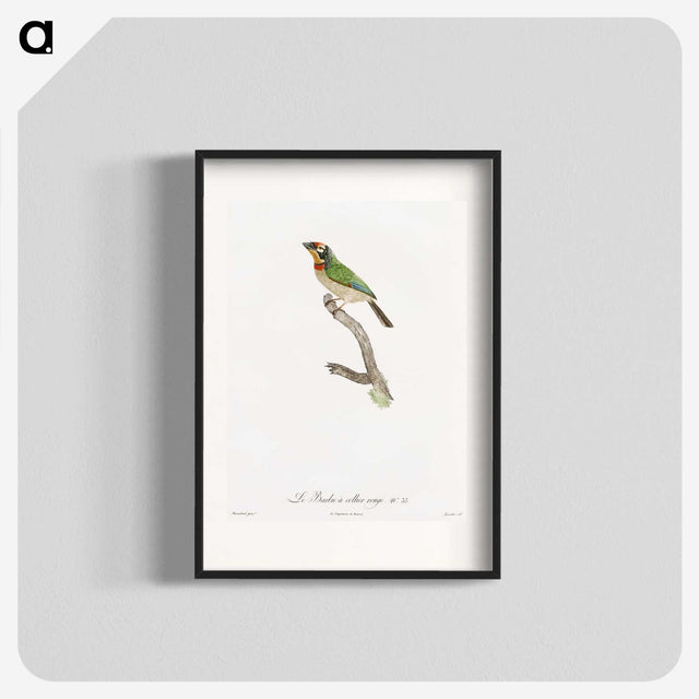 1-45_Des-Oiseaux-de-Paradis_blk