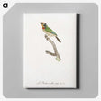 1-45_Des-Oiseaux-de-Paradis_canvas