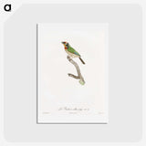 1-45_Des-Oiseaux-de-Paradis_hagaki
