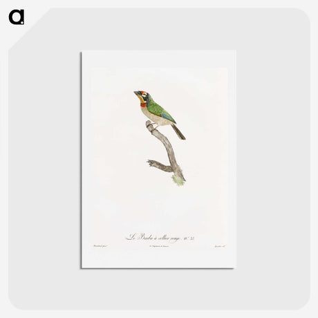 1-45_Des-Oiseaux-de-Paradis_hagaki