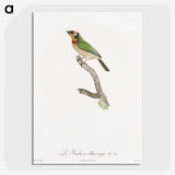 1-45_Des-Oiseaux-de-Paradis_picture-crop