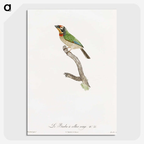 1-45_Des-Oiseaux-de-Paradis_picture-crop