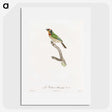 1-45_Des-Oiseaux-de-Paradis_picture