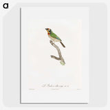 1-45_Des-Oiseaux-de-Paradis_picture