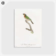 1-45_Des-Oiseaux-de-Paradis_postcard