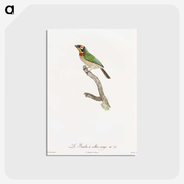 1-45_Des-Oiseaux-de-Paradis_postcard