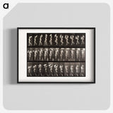 1-45_Eadweard-Muybridge_blk