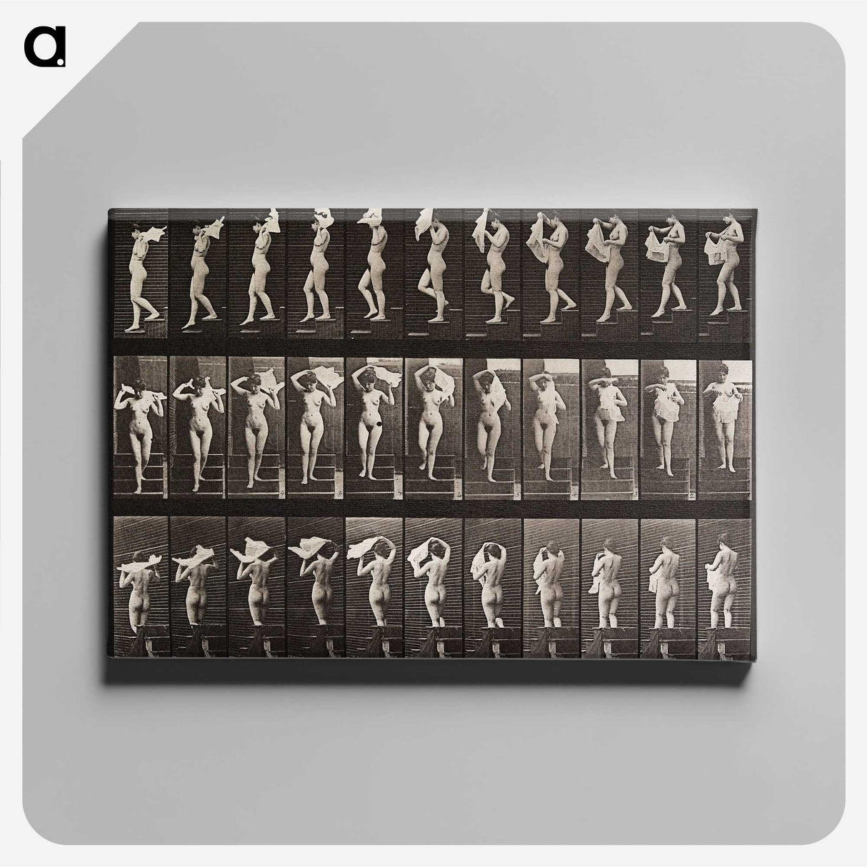 1-45_Eadweard-Muybridge_canvas
